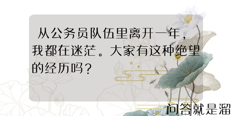 从公务员队伍里离开一年，我都在迷茫。大家有这种绝望的经历吗？