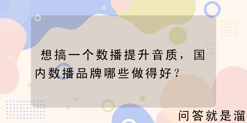 想搞一个数播提升音质，国内数播品牌哪些做得好？