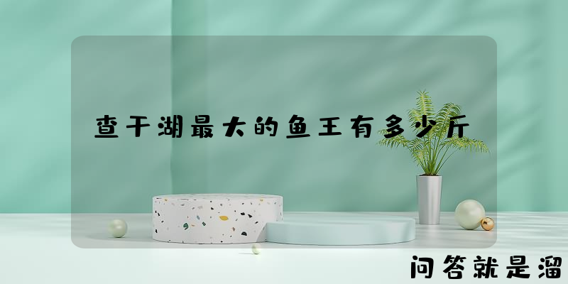 查干湖最大的鱼王有多少斤？