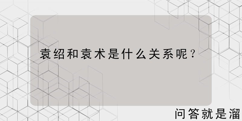 袁绍和袁术是什么关系呢？