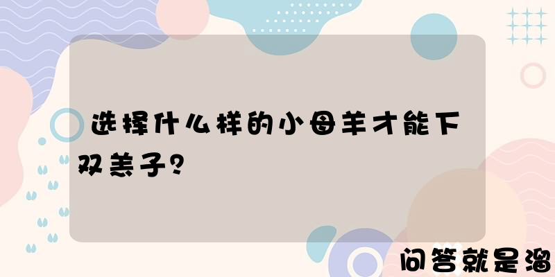 选择什么样的小母羊才能下双羔子？